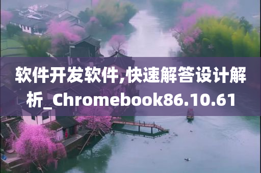 软件开发软件,快速解答设计解析_Chromebook86.10.61