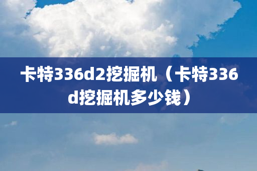 卡特336d2挖掘机（卡特336d挖掘机多少钱）