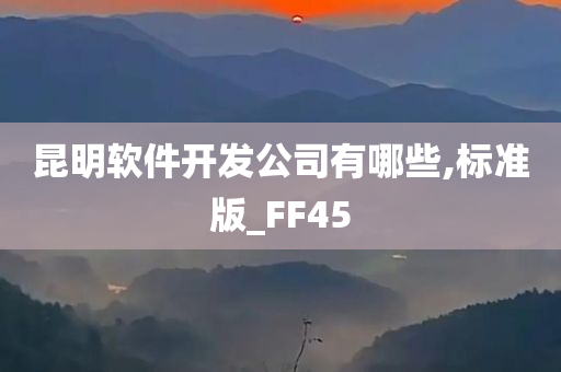 昆明软件开发公司有哪些,标准版_FF45