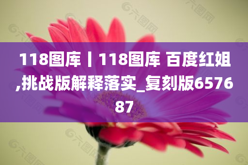 118图库丨118图库 百度红姐,挑战版解释落实_复刻版657687