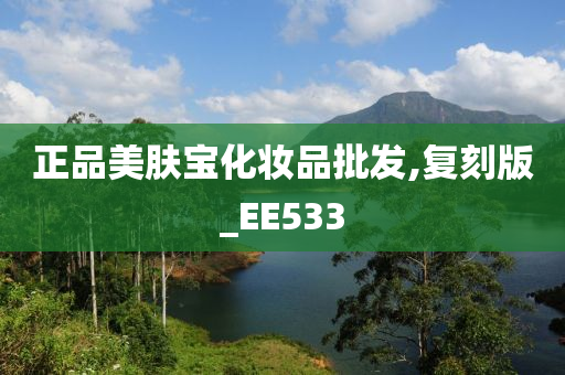 正品美肤宝化妆品批发,复刻版_EE533