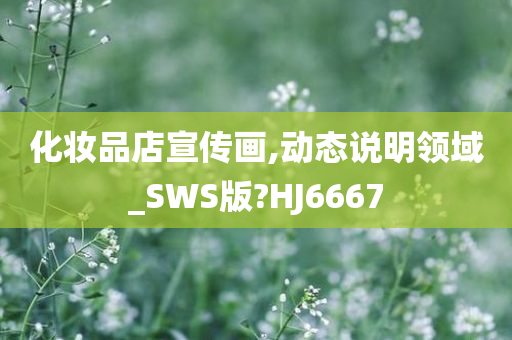 化妆品店宣传画,动态说明领域_SWS版?HJ6667