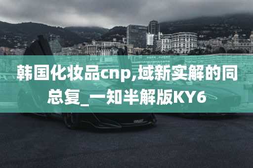 韩国化妆品cnp,域新实解的同总复_一知半解版KY6