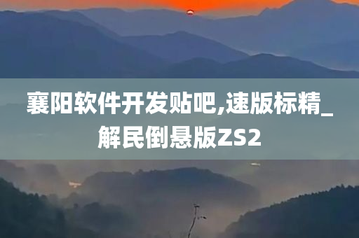 襄阳软件开发贴吧,速版标精_解民倒悬版ZS2