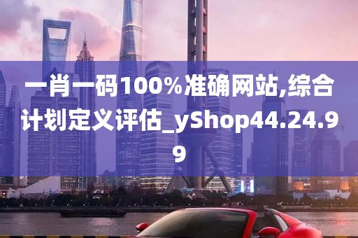 一肖一码100%准确网站,综合计划定义评估_yShop44.24.99