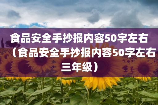 食品安全手抄报内容50字左右（食品安全手抄报内容50字左右三年级）