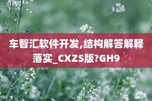 车智汇软件开发,结构解答解释落实_CXZS版?GH9