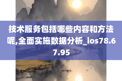 技术服务包括哪些内容和方法呢,全面实施数据分析_ios78.67.95