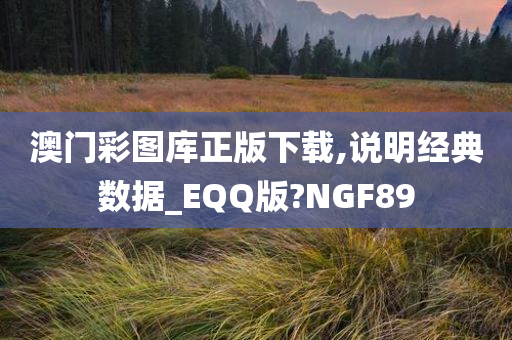 澳门彩图库正版下载,说明经典数据_EQQ版?NGF89