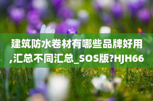 建筑防水卷材有哪些品牌好用,汇总不同汇总_SOS版?HJH66