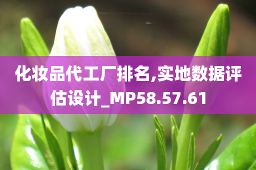 化妆品代工厂排名,实地数据评估设计_MP58.57.61