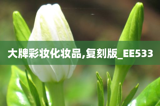 大牌彩妆化妆品,复刻版_EE533