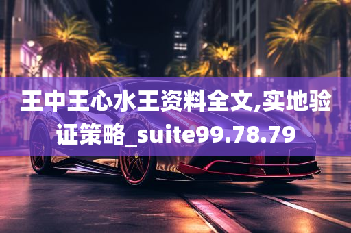 王中王心水王资料全文,实地验证策略_suite99.78.79