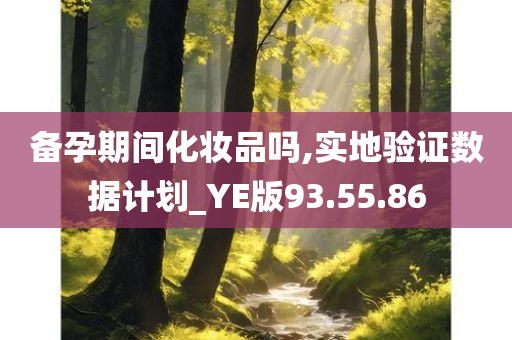 备孕期间化妆品吗,实地验证数据计划_YE版93.55.86