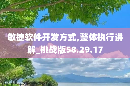 敏捷软件开发方式,整体执行讲解_挑战版58.29.17