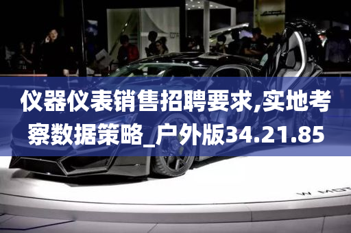 仪器仪表销售招聘要求,实地考察数据策略_户外版34.21.85