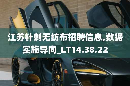 江苏针刺无纺布招聘信息,数据实施导向_LT14.38.22