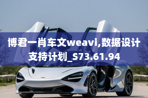 博君一肖车文weavi,数据设计支持计划_S73.61.94