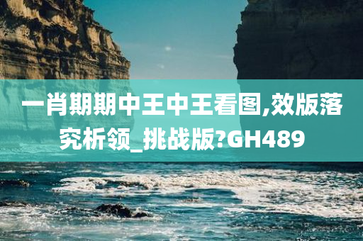 一肖期期中王中王看图,效版落究析领_挑战版?GH489