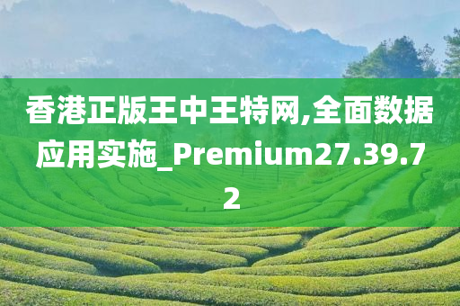 香港正版王中王特网,全面数据应用实施_Premium27.39.72