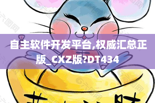 自主软件开发平台,权威汇总正版_CXZ版?DT434