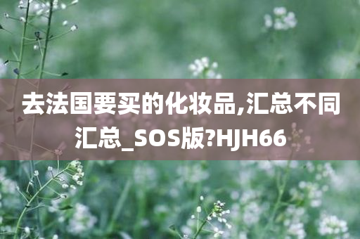 去法国要买的化妆品,汇总不同汇总_SOS版?HJH66