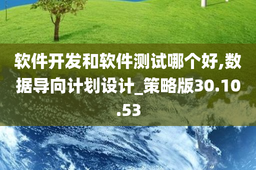 软件开发和软件测试哪个好,数据导向计划设计_策略版30.10.53