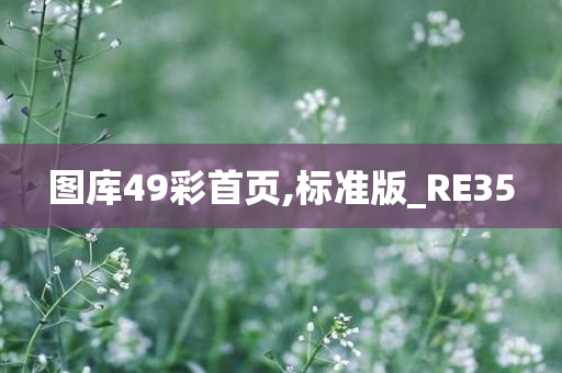 图库49彩首页,标准版_RE35