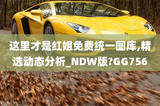 这里才是红姐免费统一图库,精选动态分析_NDW版?GG756