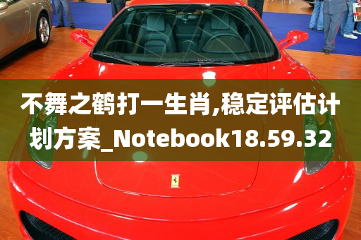 不舞之鹤打一生肖,稳定评估计划方案_Notebook18.59.32