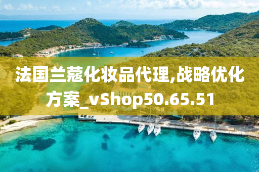 法国兰蔻化妆品代理,战略优化方案_vShop50.65.51