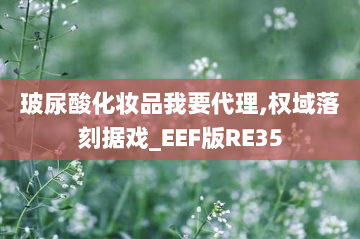 玻尿酸化妆品我要代理,权域落刻据戏_EEF版RE35