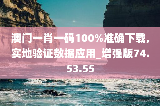 澳门一肖一码100%准确下载,实地验证数据应用_增强版74.53.55