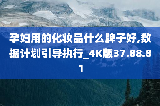 孕妇用的化妆品什么牌子好,数据计划引导执行_4K版37.88.81