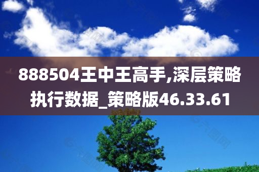 888504王中王高手,深层策略执行数据_策略版46.33.61