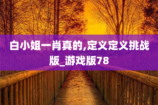 白小姐一肖真的,定义定义挑战版_游戏版78