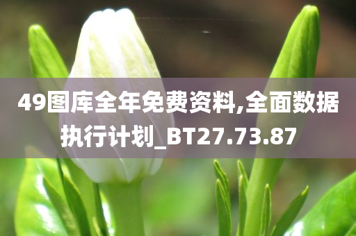 49图库全年免费资料,全面数据执行计划_BT27.73.87