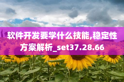 软件开发要学什么技能,稳定性方案解析_set37.28.66