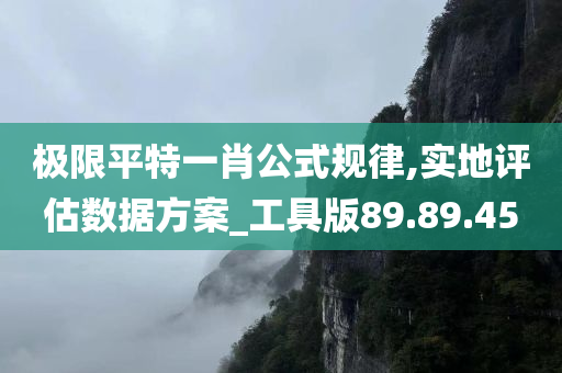 极限平特一肖公式规律,实地评估数据方案_工具版89.89.45