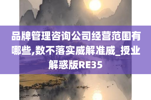 品牌管理咨询公司经营范围有哪些,数不落实威解准威_授业解惑版RE35