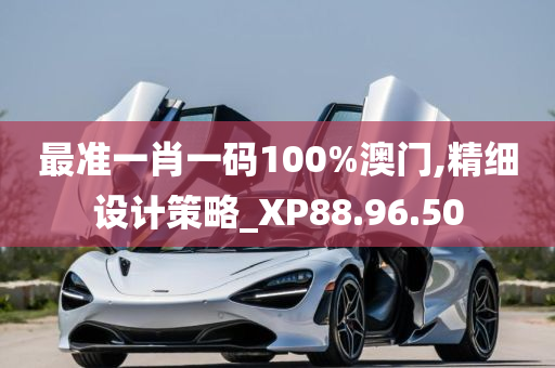 最准一肖一码100%澳门,精细设计策略_XP88.96.50