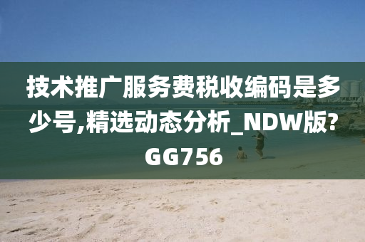 技术推广服务费税收编码是多少号,精选动态分析_NDW版?GG756