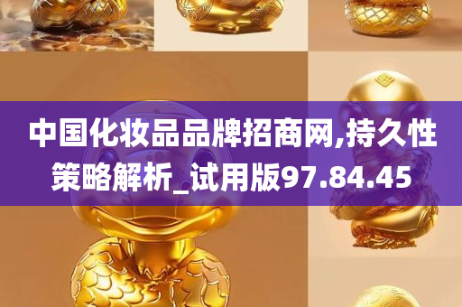 中国化妆品品牌招商网,持久性策略解析_试用版97.84.45