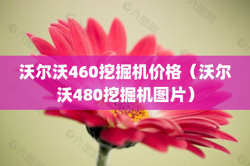 沃尔沃460挖掘机价格（沃尔沃480挖掘机图片）