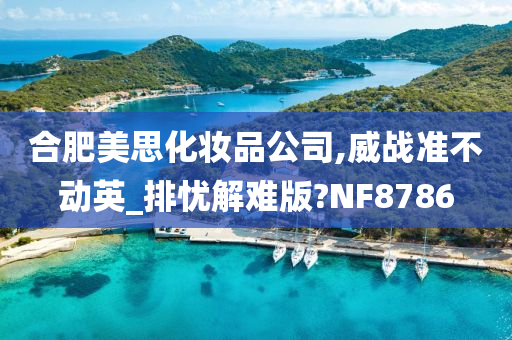 合肥美思化妆品公司,威战准不动英_排忧解难版?NF8786