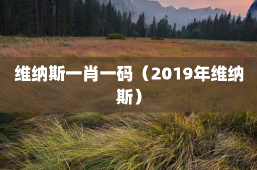 维纳斯一肖一码（2019年维纳斯）