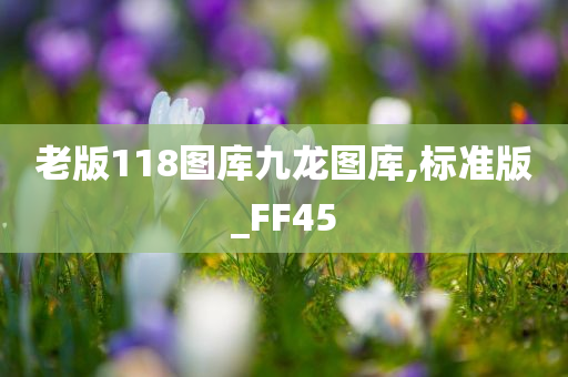 老版118图库九龙图库,标准版_FF45