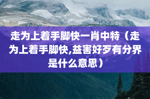 走为上着手脚快一肖中特（走为上着手脚快,益害好歹有分界是什么意思）