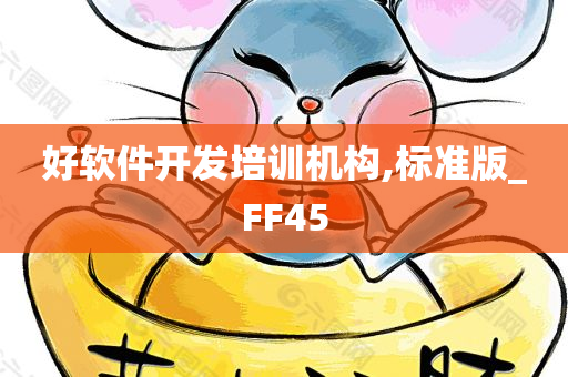 好软件开发培训机构,标准版_FF45