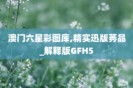 澳门六星彩图库,精实迅版莠品_解释版GFH5